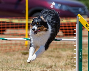 20160619-CCKC-1018.jpg