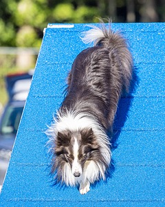 20230917-PVKC-2089.jpg
