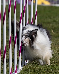 20230916-PVKC-1119.jpg