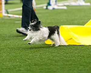 20150322-LEAP-0019.jpg