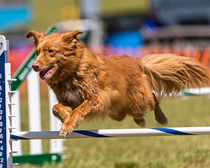 20180617-1433.jpg