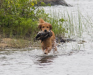 20080531-HRW-0343.jpg