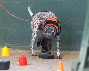20260718-NSKC-0655.jpg