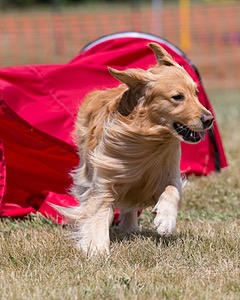 20150613-CCKC-0055.jpg