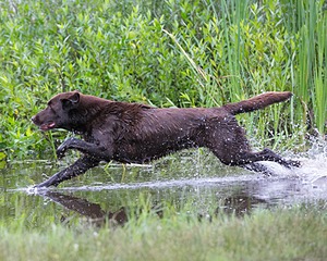 20130713-MHB2-0359.jpg