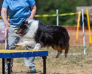 20160619-CCKC-1258.jpg
