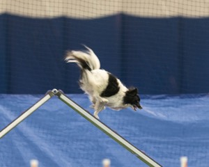 20150321-LEAP-1675.jpg