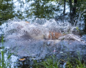 20170716-WCXW-1061.jpg