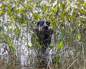 20210807-SHW-0110.jpg
