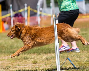 20180617-1436.jpg