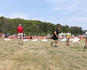 20150612-CCKCMC-0058.jpg