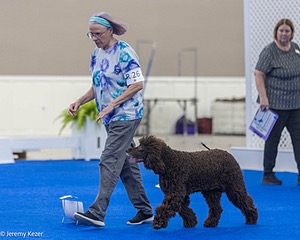 R26 - CH CUBOGLACH ROSY MAPLE RAE CAA BCAT SWME RATS DJ DN CGC TKN FTN