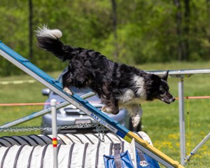 20170520-NEAT-1459.jpg
