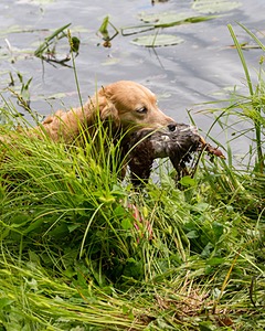 20170603-SEAW-0007.jpg