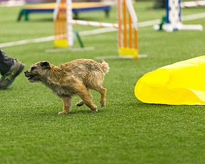 20150322-LEAP-0162.jpg