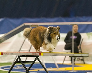 20150321-LEAP-1390.jpg