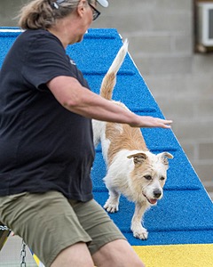 Tank Vedder