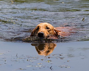 20130714-MHB2-0061.jpg
