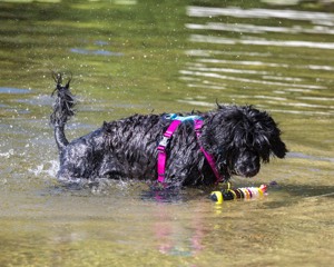 Penny Toby-Ann