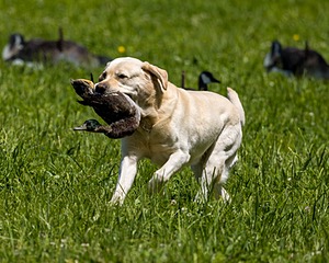 20220605-FINL-1624.jpg