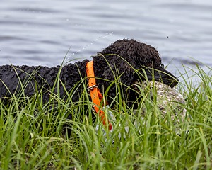 Ghillie Kezer