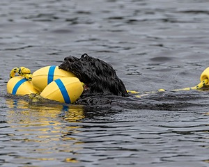 "Rory" & Patti
