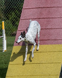 20200819-0810.jpg