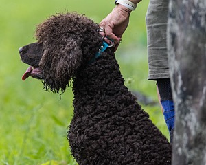 Ghillie Kezer