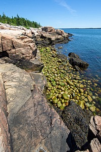 20180708-1051.jpg
