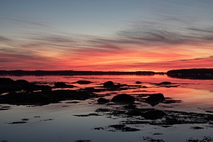 20180708-1002.jpg