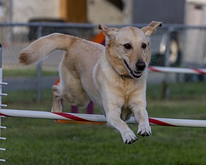 20230916-PVKC-1743.jpg