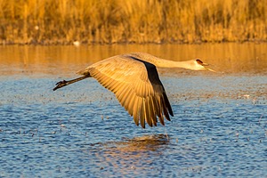 20151206-1406.jpg