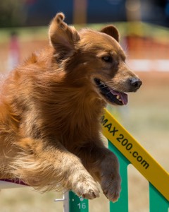 20160618-CCKC-1483.jpg