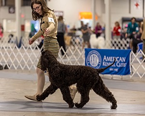 08 - CRISPIN'S CAN'T STOP THE MUSIC (Melody)