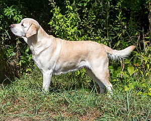 20160924-P-0034.jpg