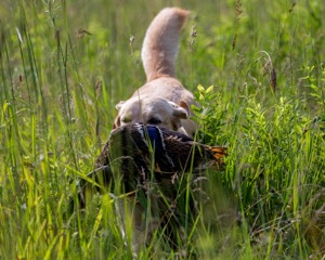 20170716-WCL-0032.jpg