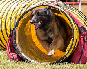 20180616-0675.jpg