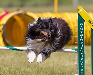 20180617-1402.jpg