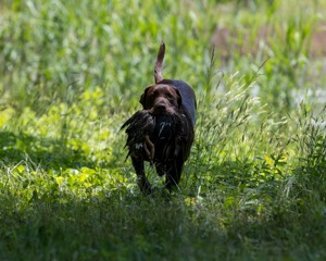 20220605-FINW-0006.jpg