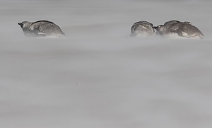 20191220-0900.jpg