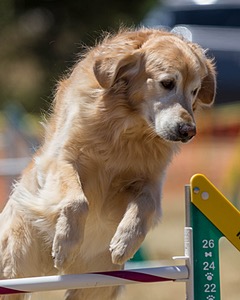 20160618-CCKC-1056.jpg