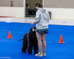 P15 - GCHS CH POOLE'S IDE SAY NO MORE CD RN JH DS CGC TKI