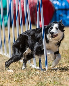 20160618-CCKC-1547.jpg