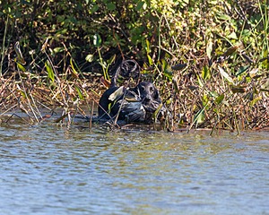 20191005-WCW-0014.jpg