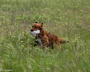 20240523-WCXL-0004.jpg