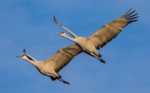 20151210-0414.jpg