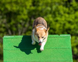 20160619-CCKC-0049.jpg