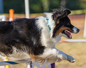 Kona Destremps
