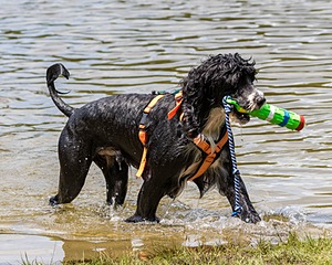 Nelly
