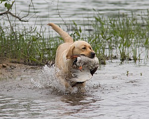 20080531-HRW-0397.jpg